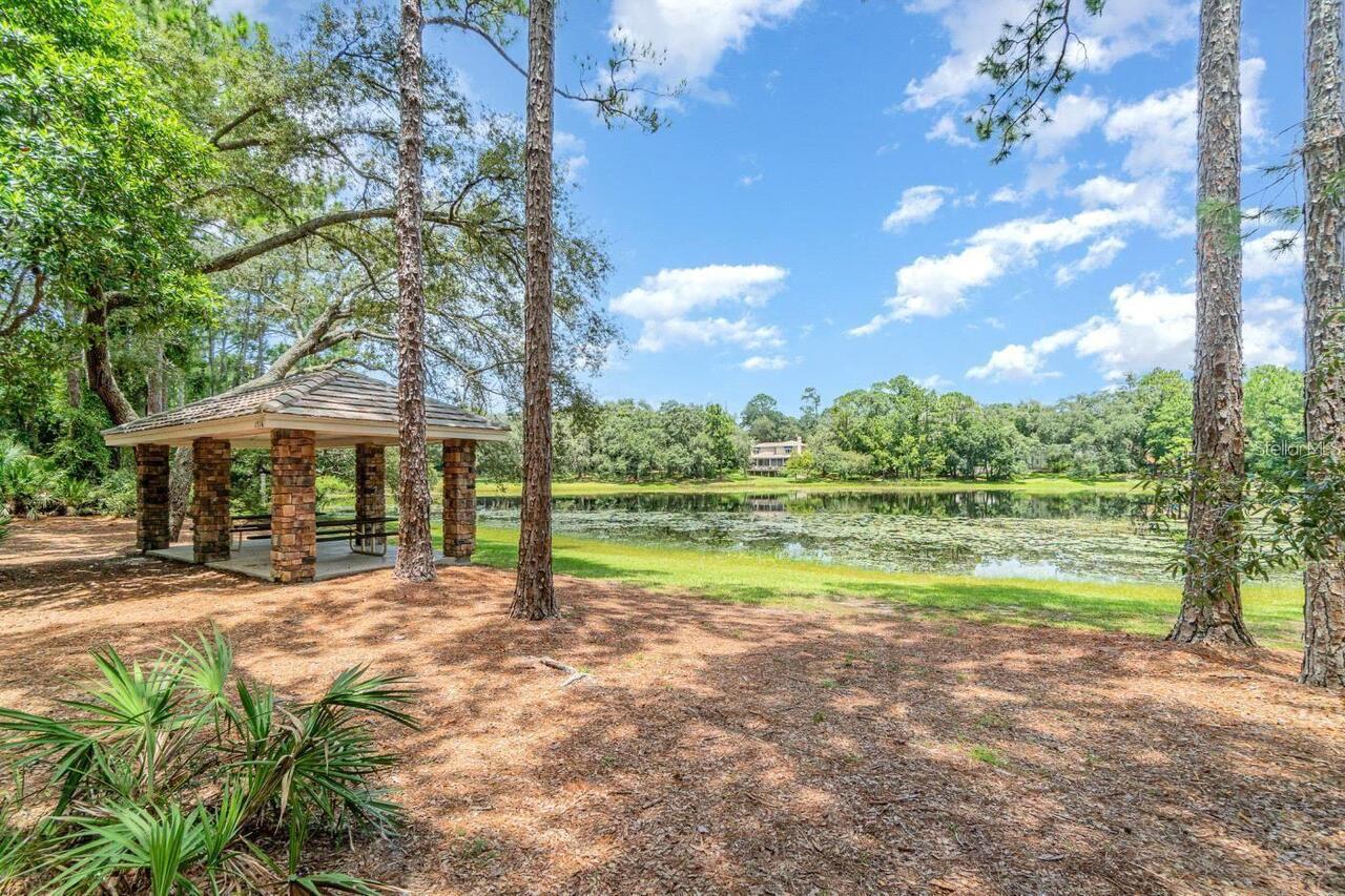 Listing Photo 45