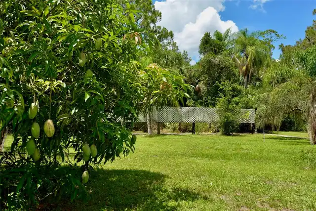 Listing Photo 77