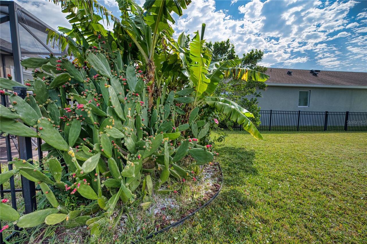 Listing Photo 8