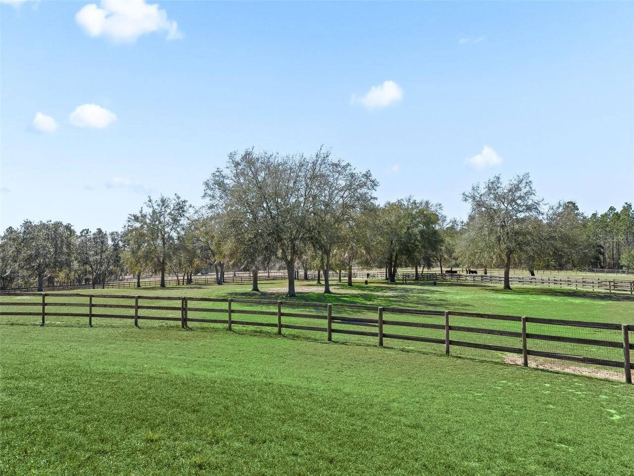 Listing Photo 44
