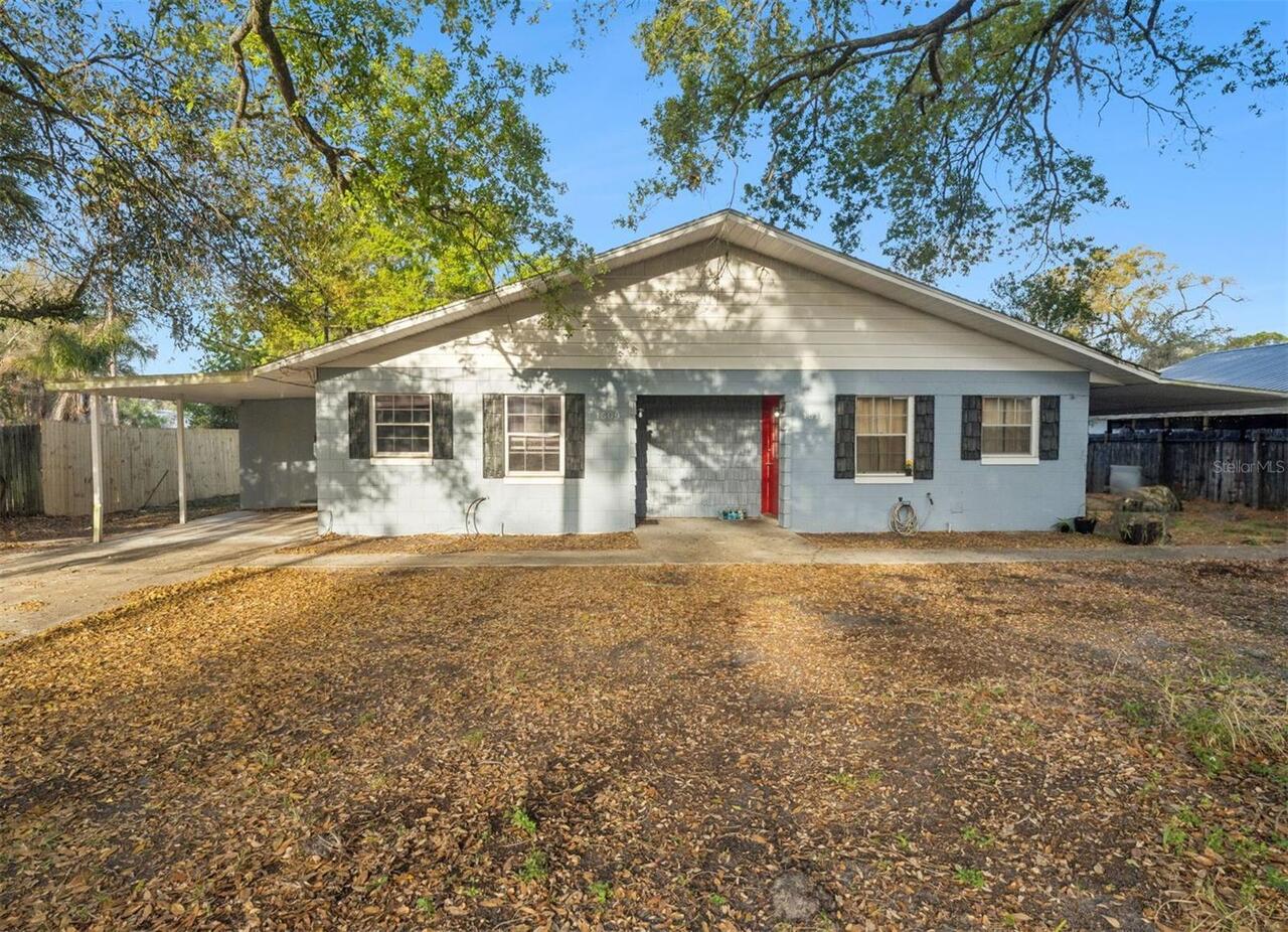 Mount Dora Real Estate