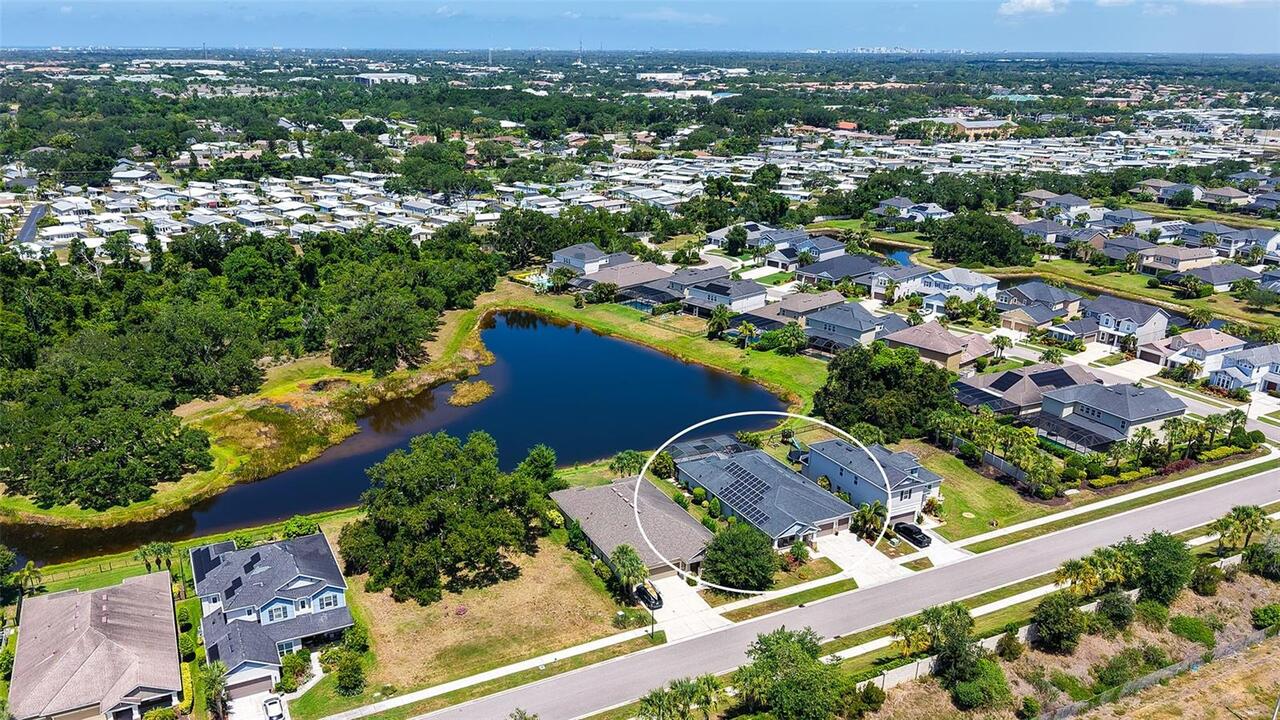 Sarasota Real Estate