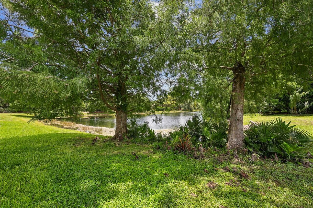 Listing Photo 41