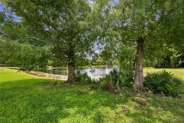 Listing Photo 41