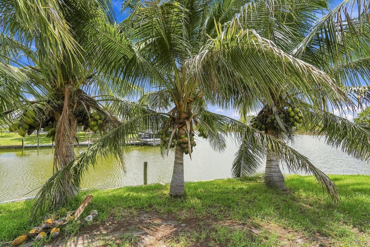 Listing Photo 25