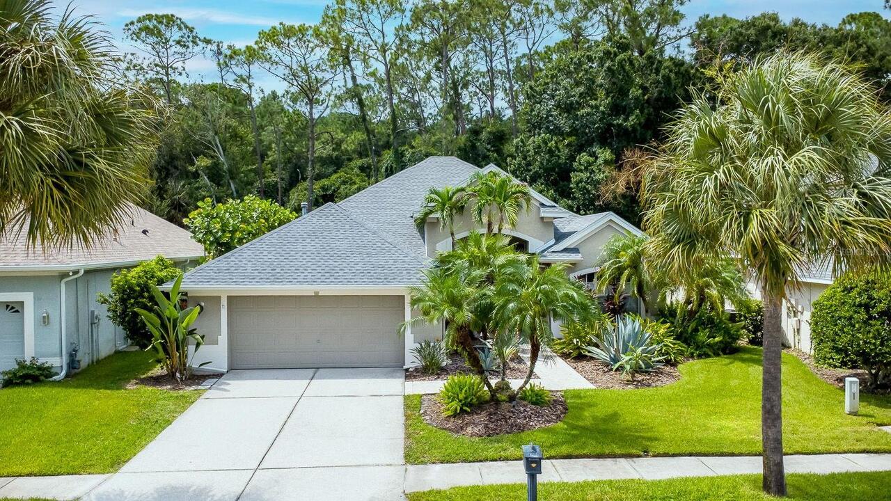 Tampa Real Estate
