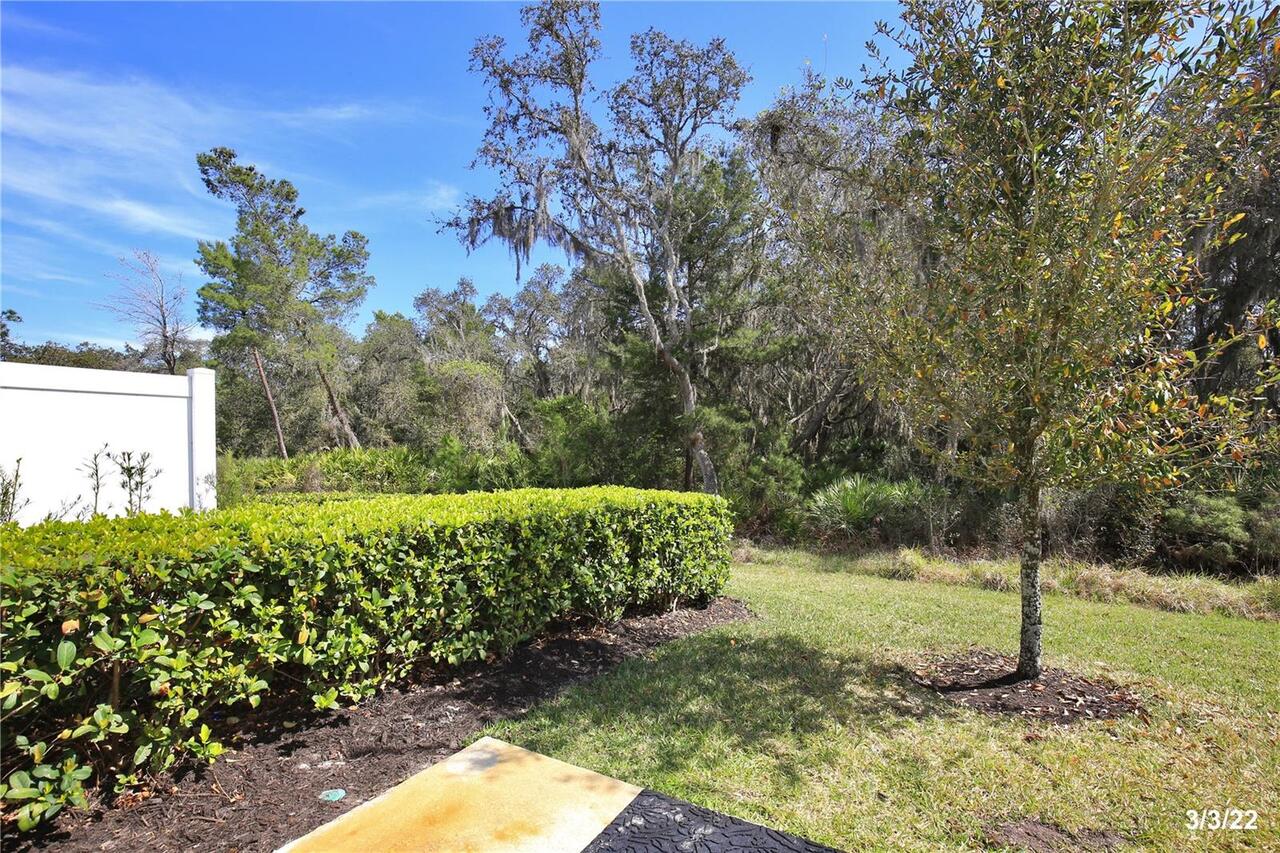 Listing Photo 23