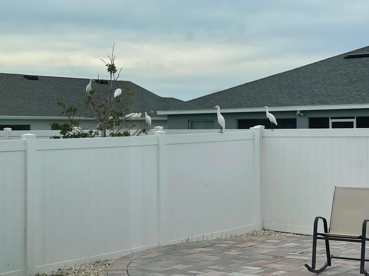 Listing Photo 10
