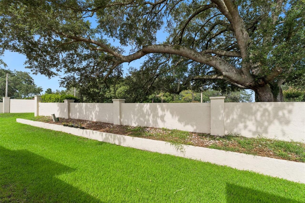 Listing Photo 32