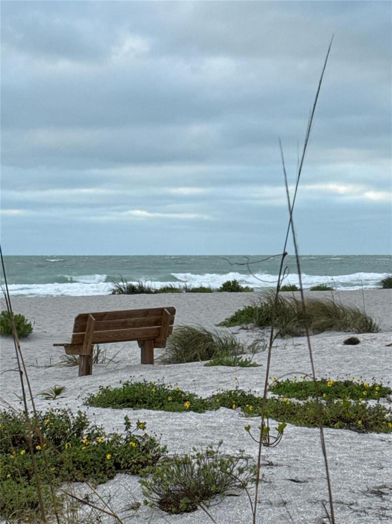 Listing Photo 39