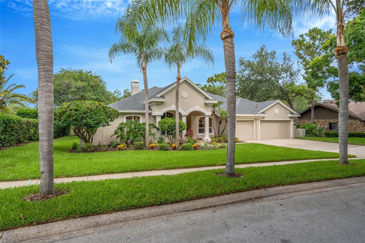 Palm Harbor Real Estate