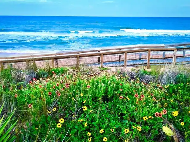 Listing Photo 55