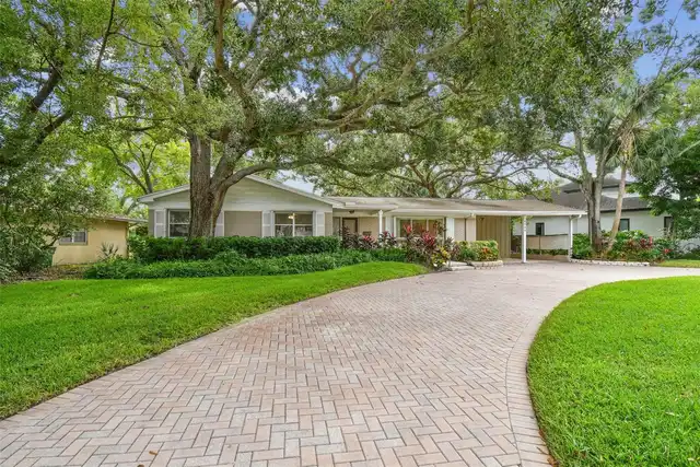 Tampa Real Estate