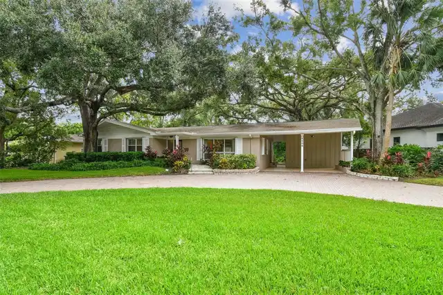 Tampa Real Estate