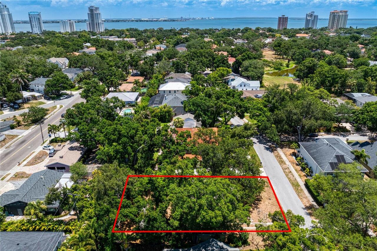 Tampa Real Estate