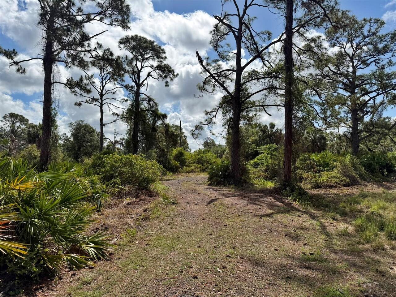 Listing Photo 67