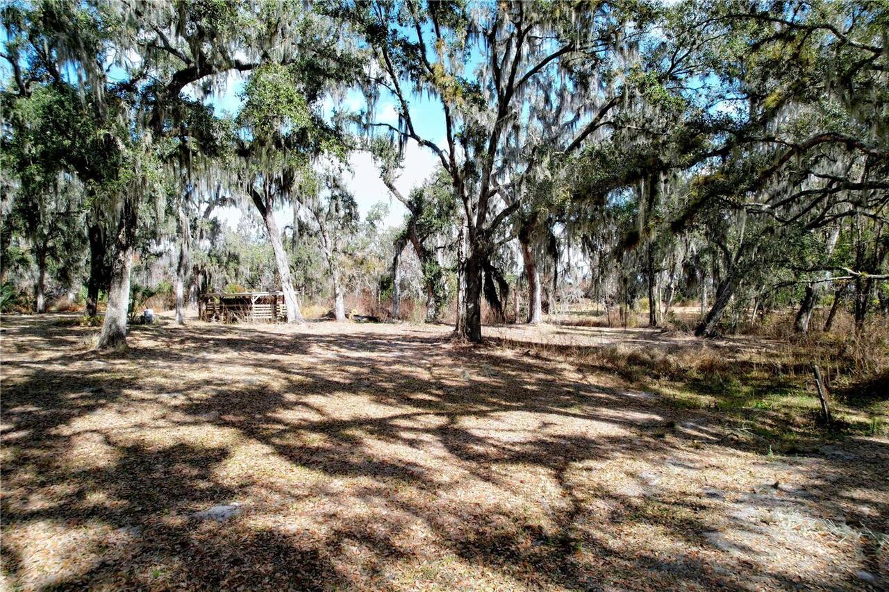 Listing Photo 67