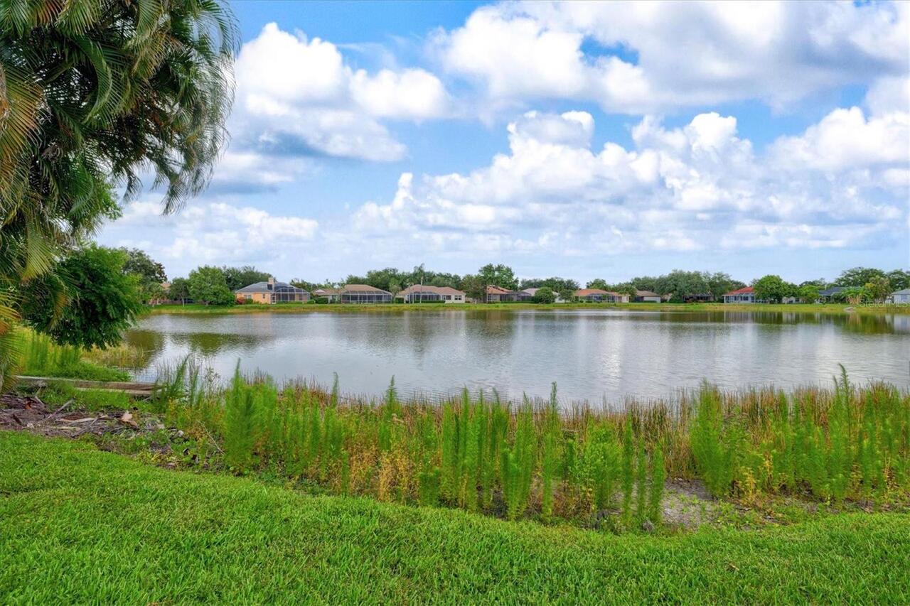 Listing Photo 82