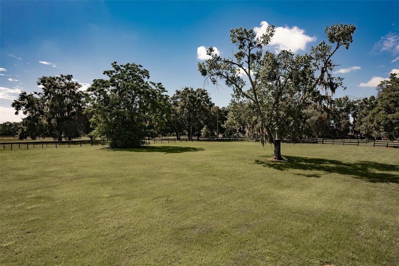 Listing Photo 73