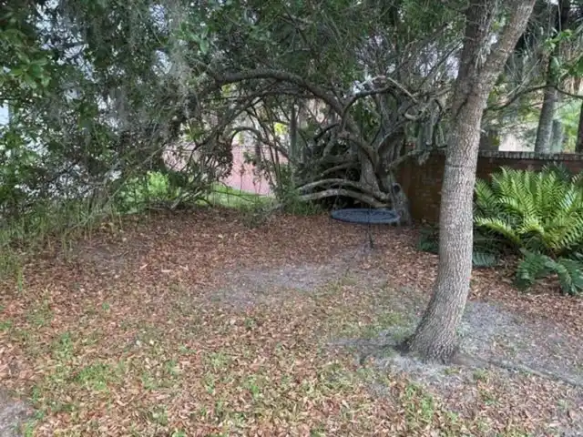 Listing Photo 19