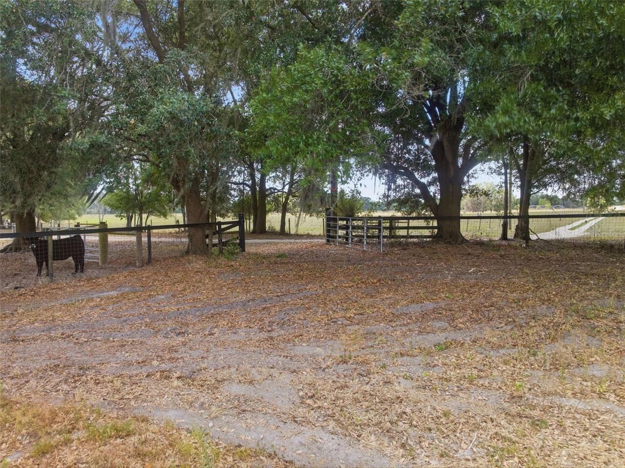 Listing Photo 46