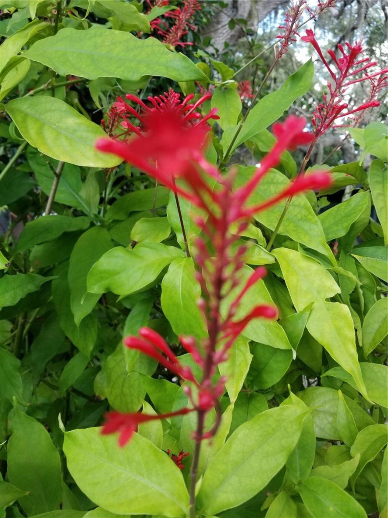Listing Photo 69