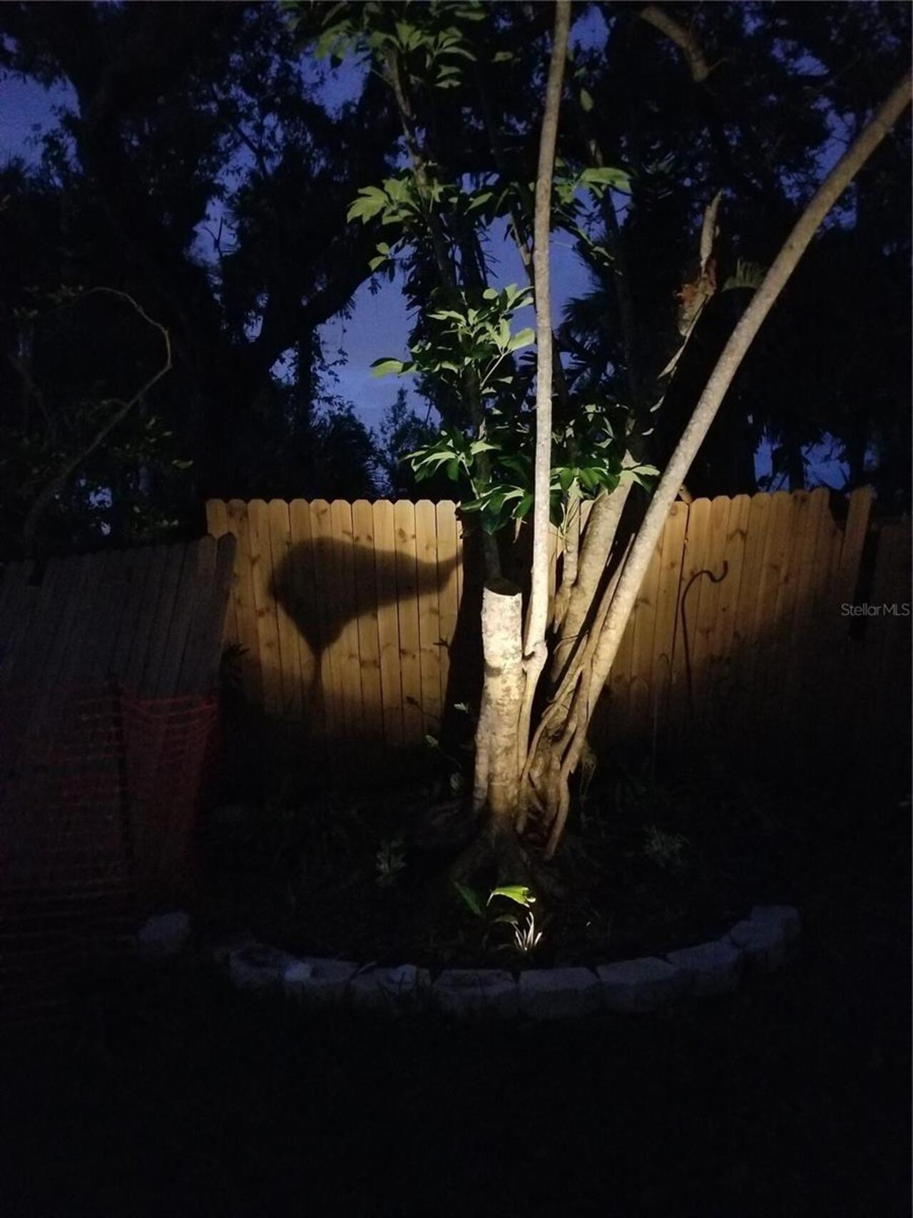 Listing Photo 78