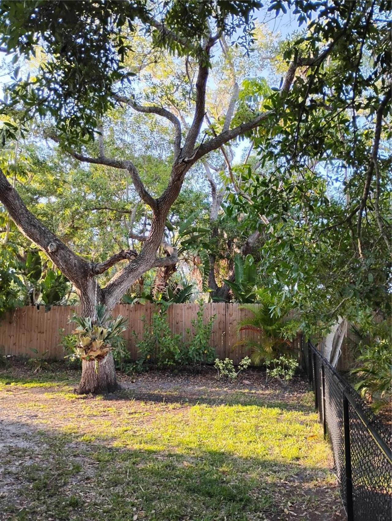 Listing Photo 99