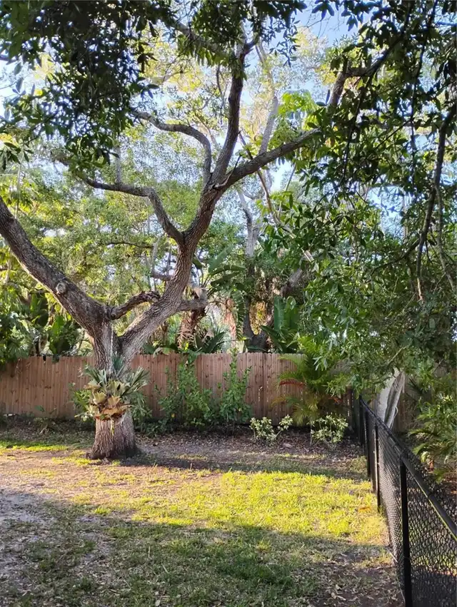 Listing Photo 95