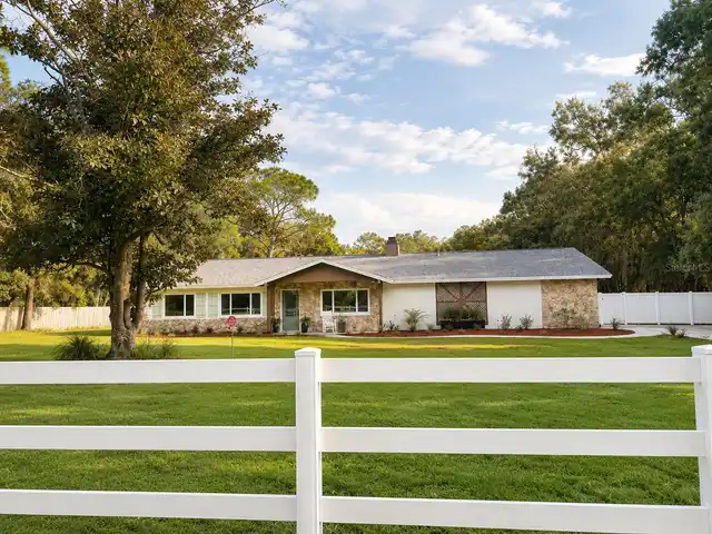 Lutz Real Estate