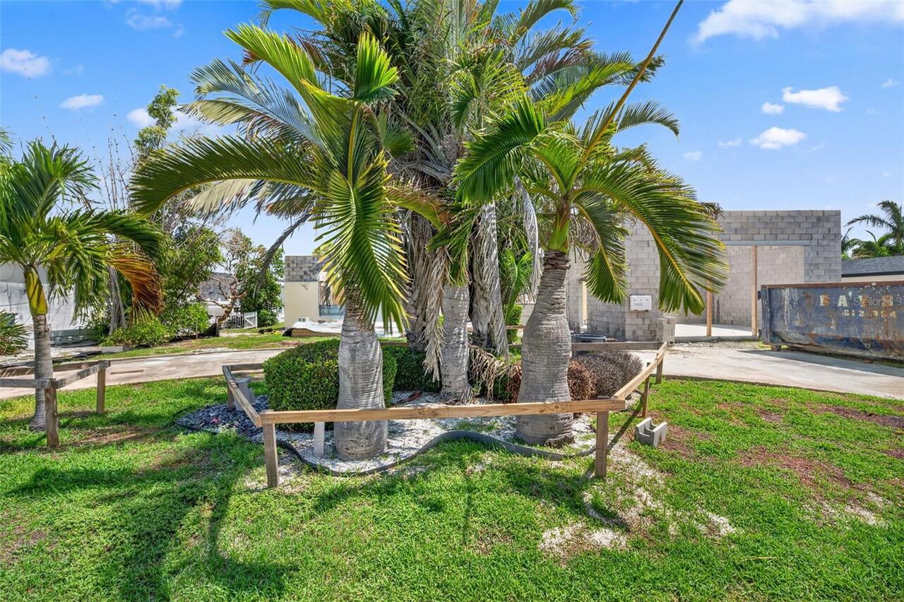 Listing Photo 8