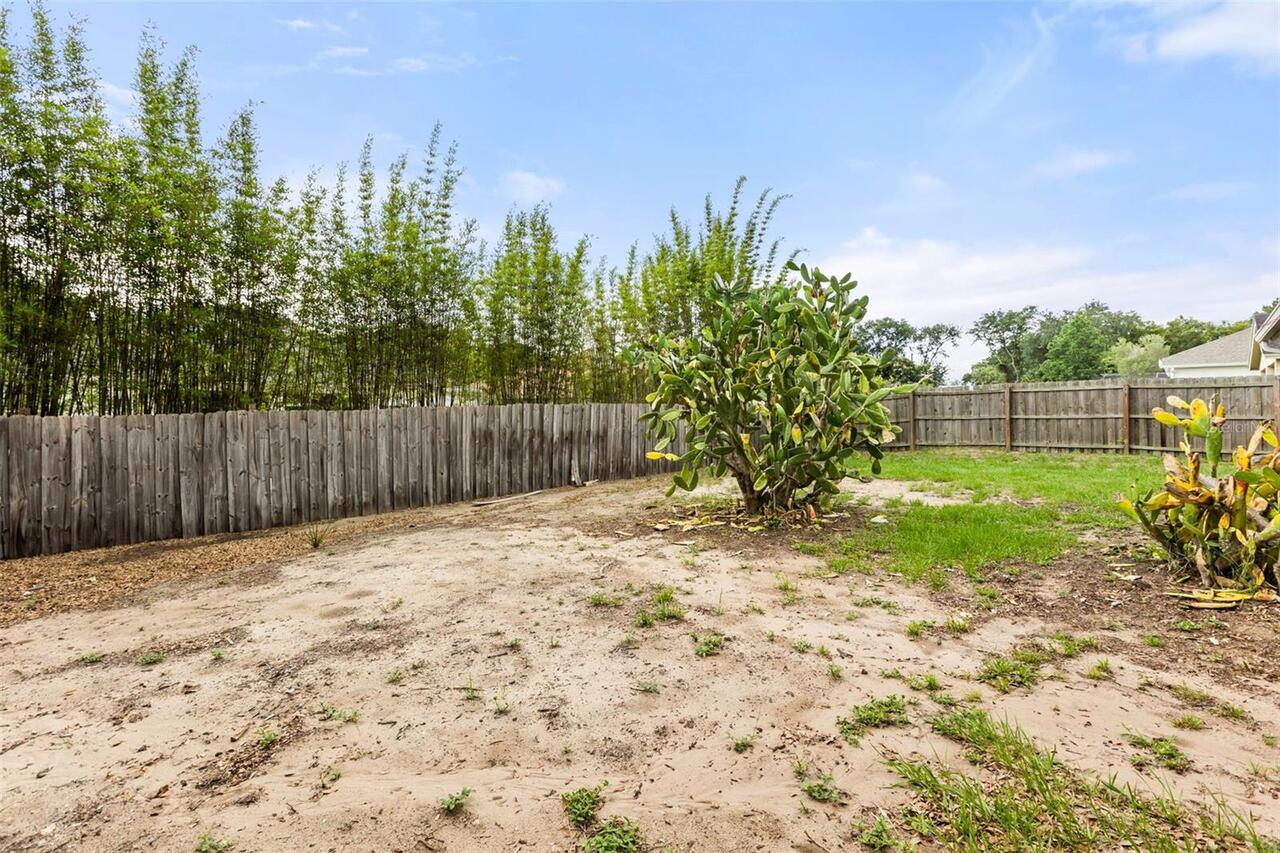 Listing Photo 31