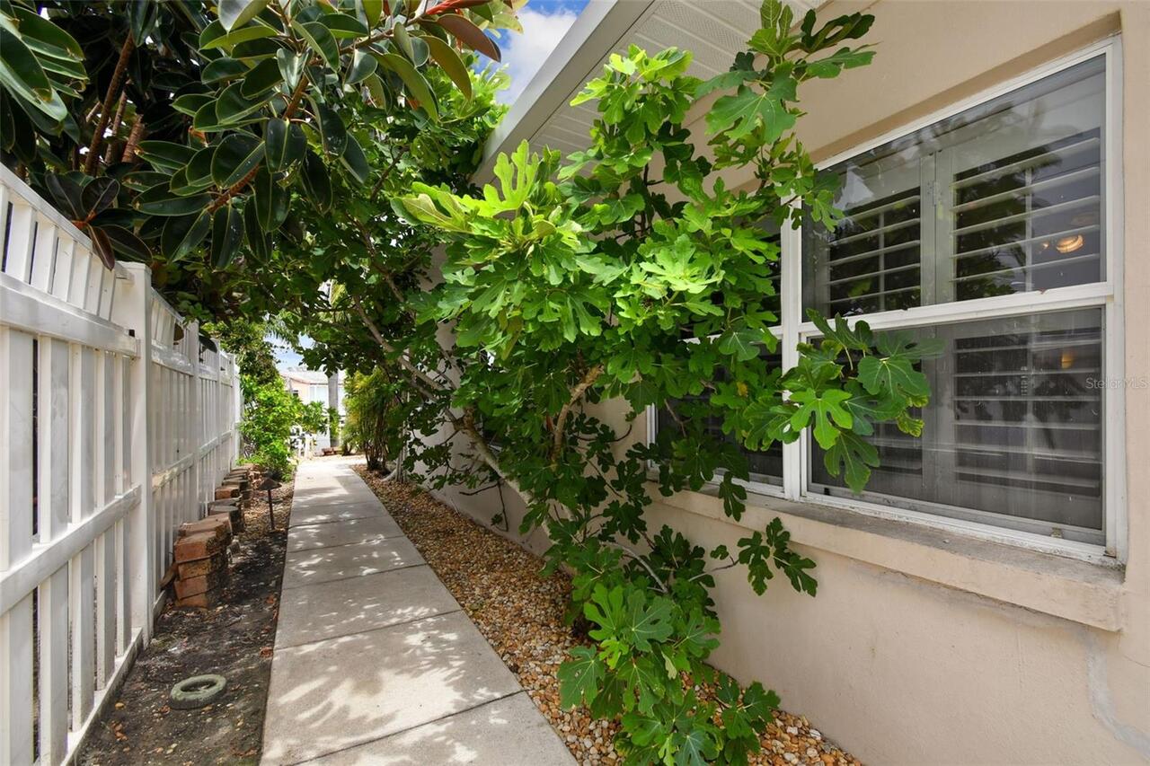Listing Photo 21