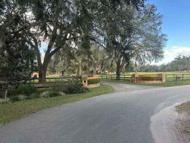 Listing Photo 45