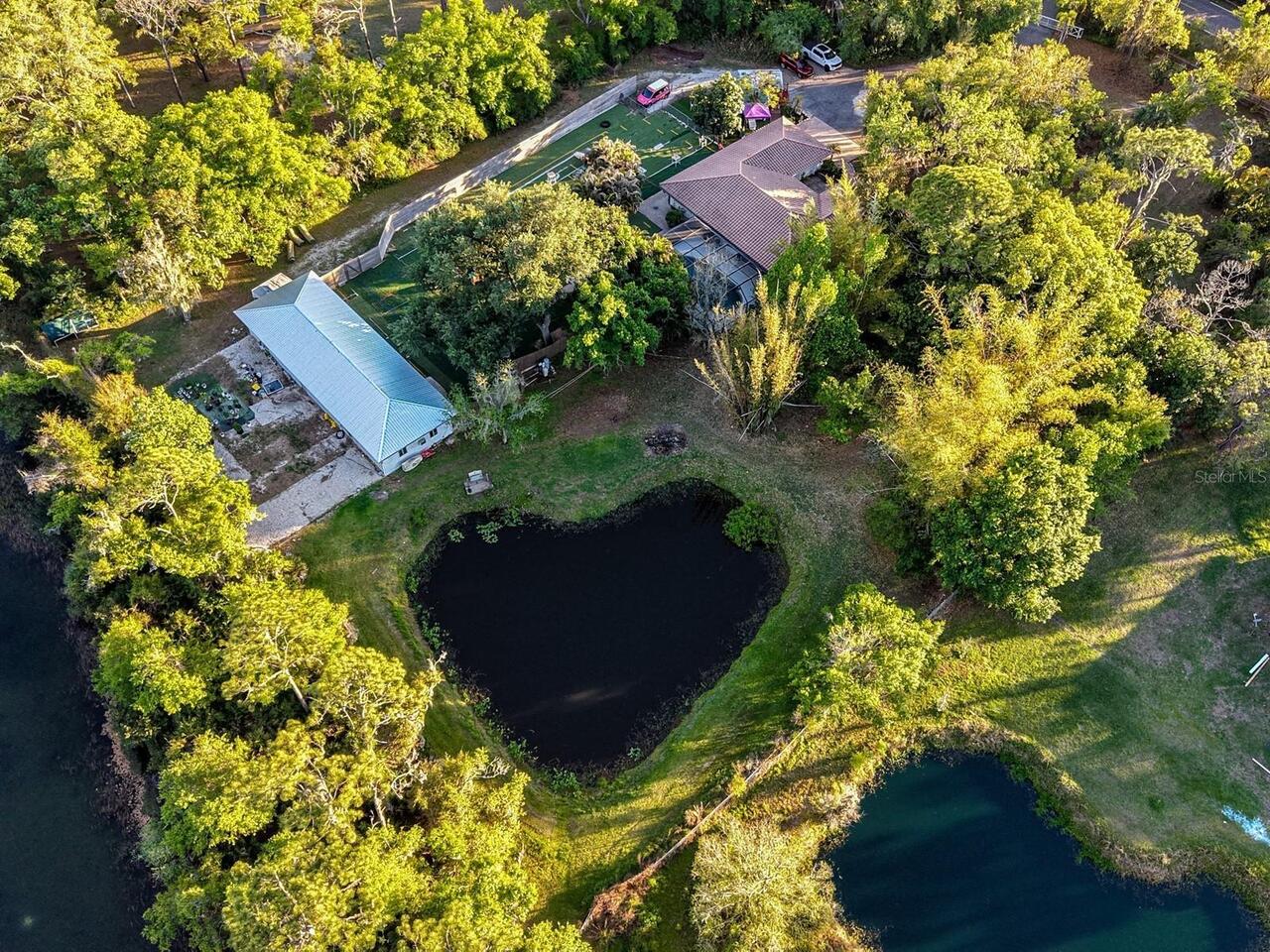 Sarasota Real Estate