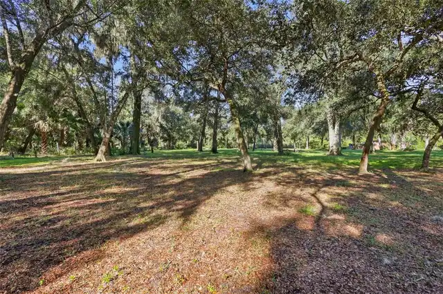 Listing Photo 37