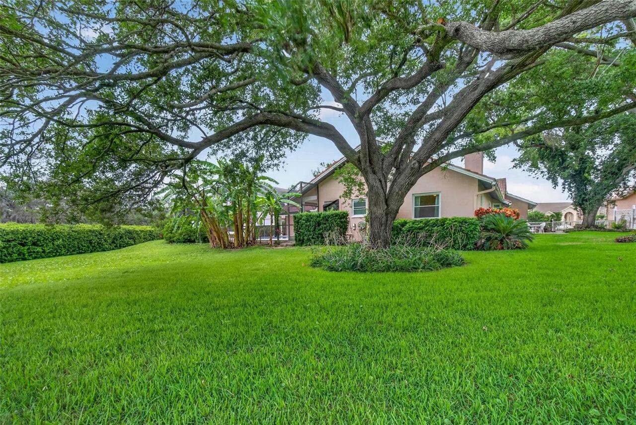Listing Photo 61