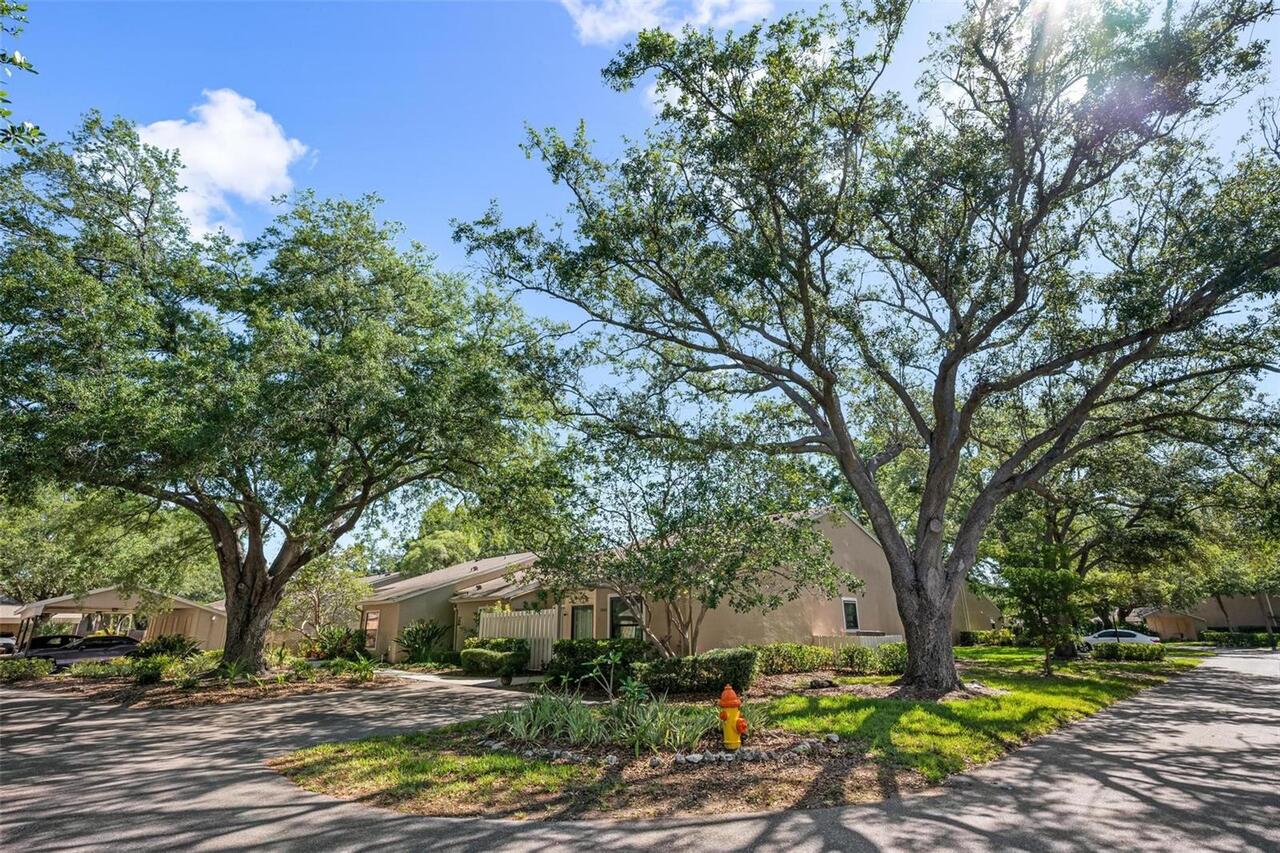 Listing Photo 31
