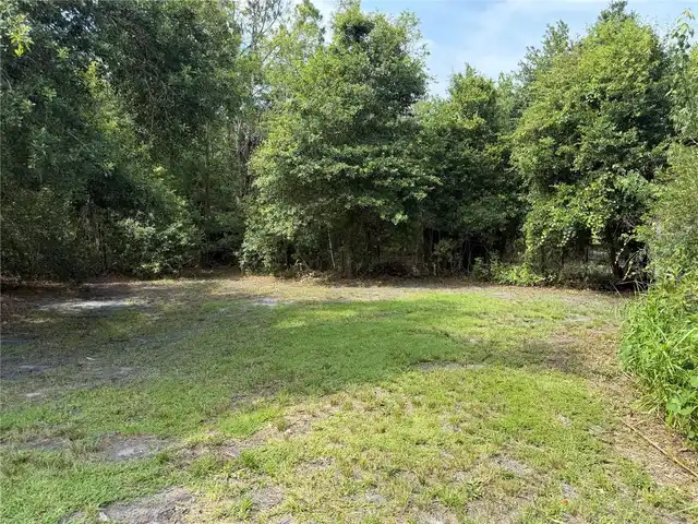 Listing Photo 24