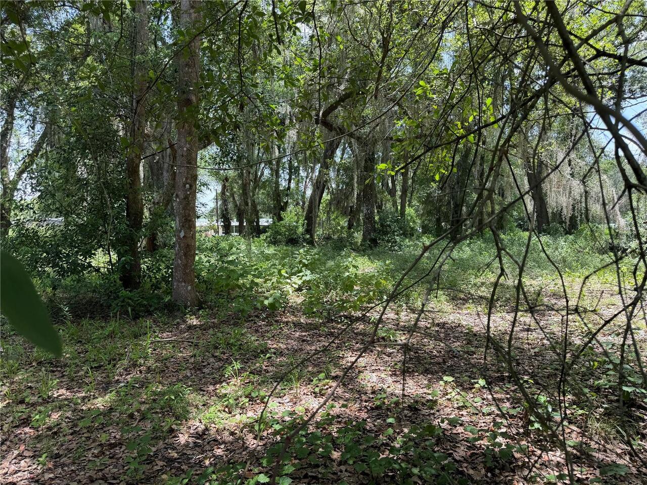 Listing Photo 58