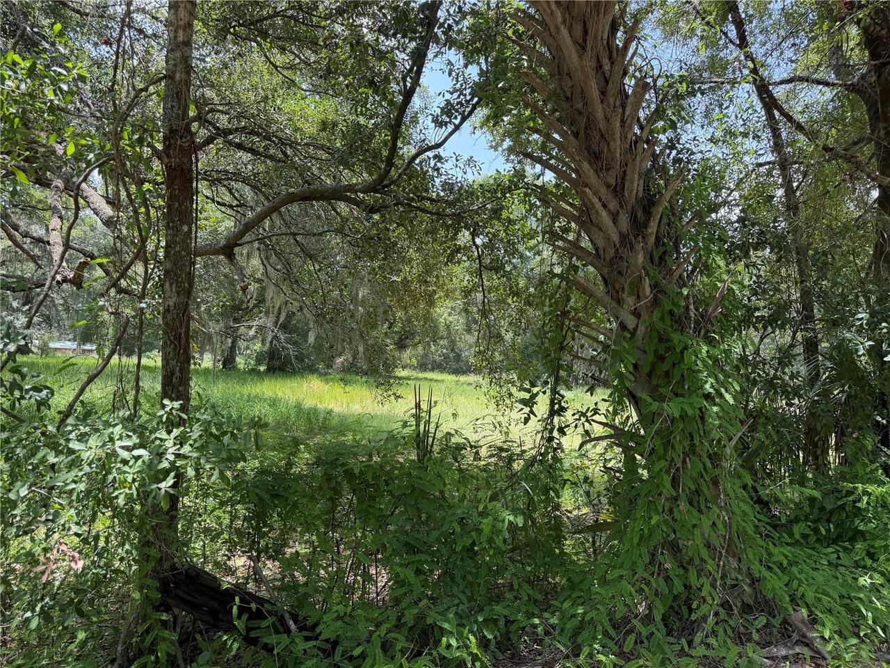 Listing Photo 72
