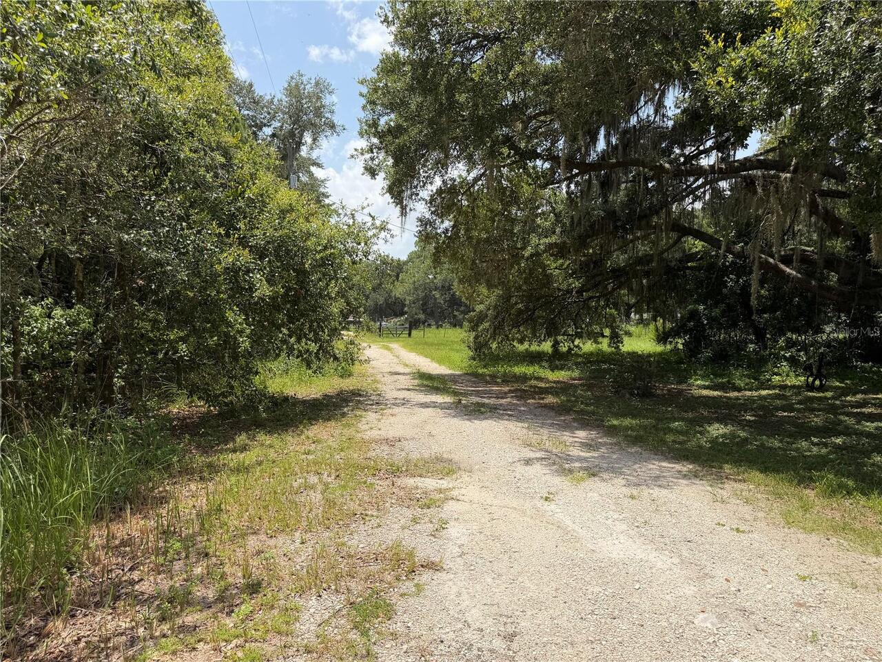 Listing Photo 73