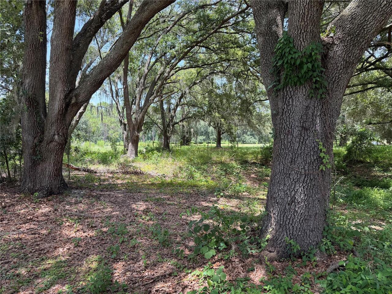 Listing Photo 75
