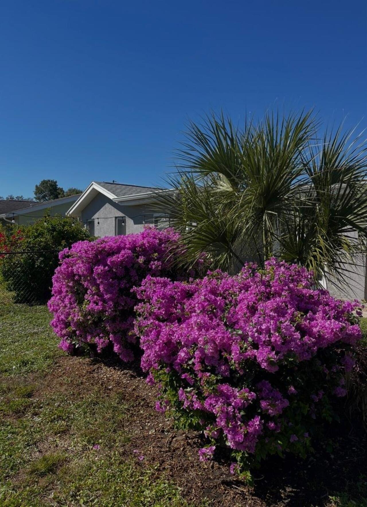 Listing Photo 71