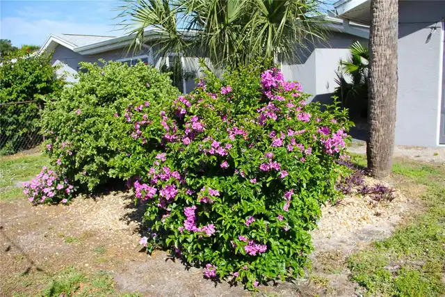 Listing Photo 71