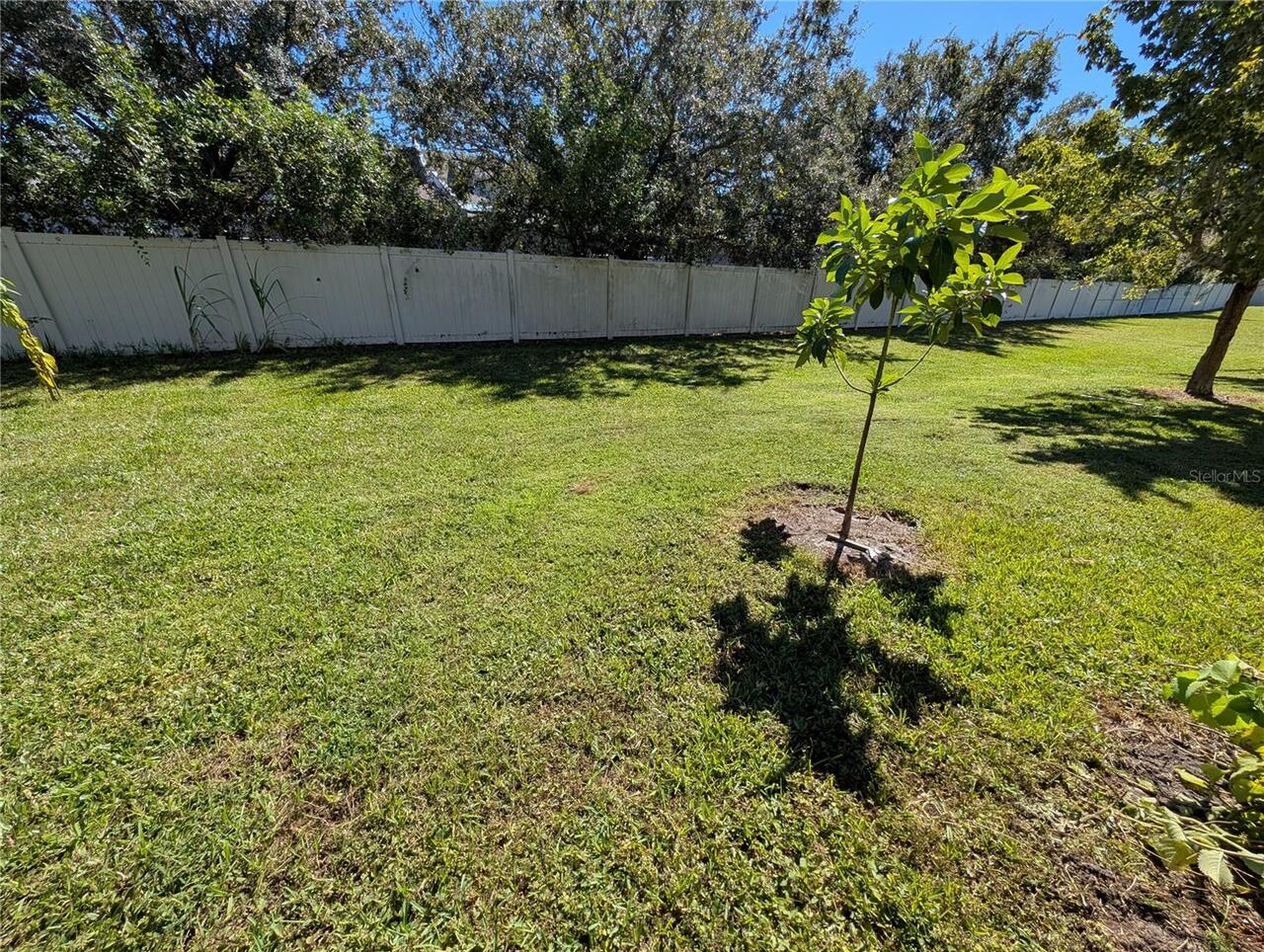 Listing Photo 34
