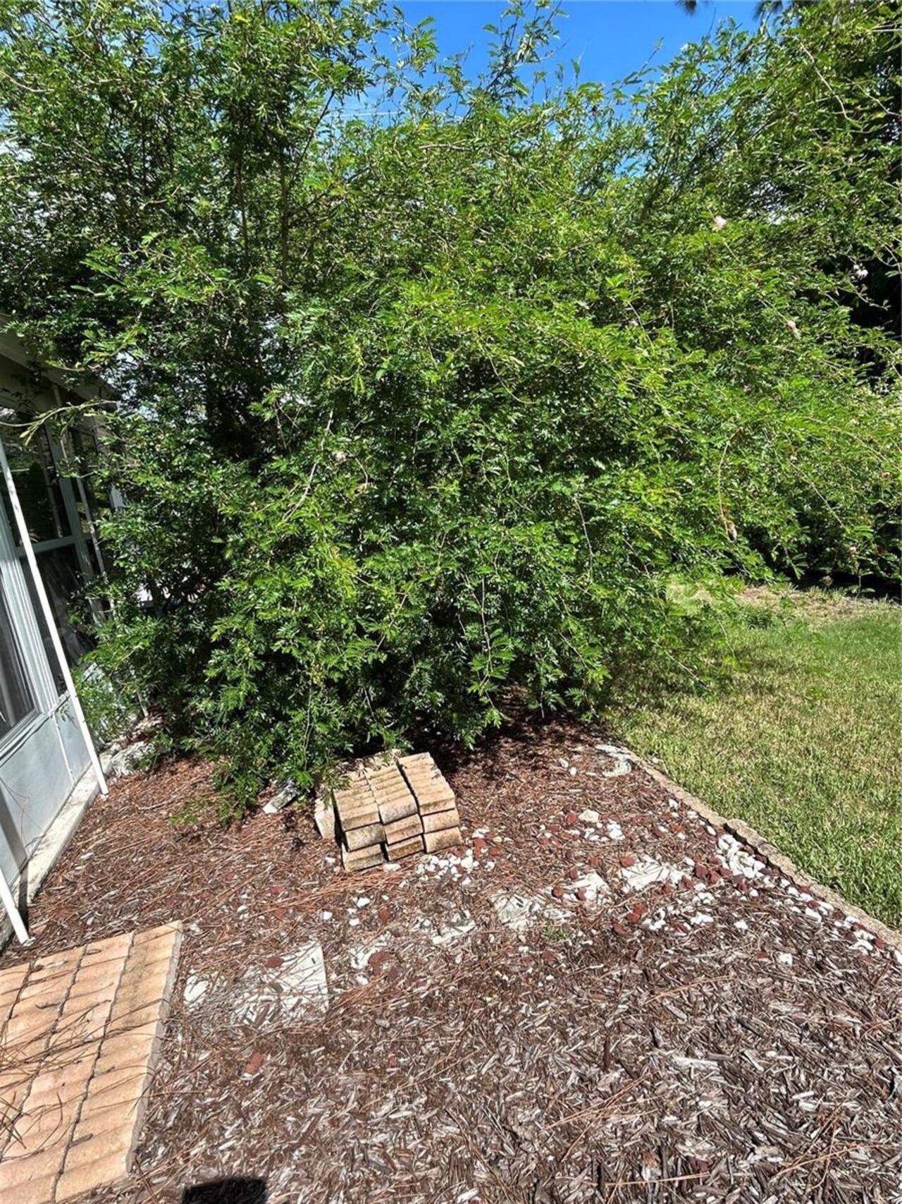 Listing Photo 18