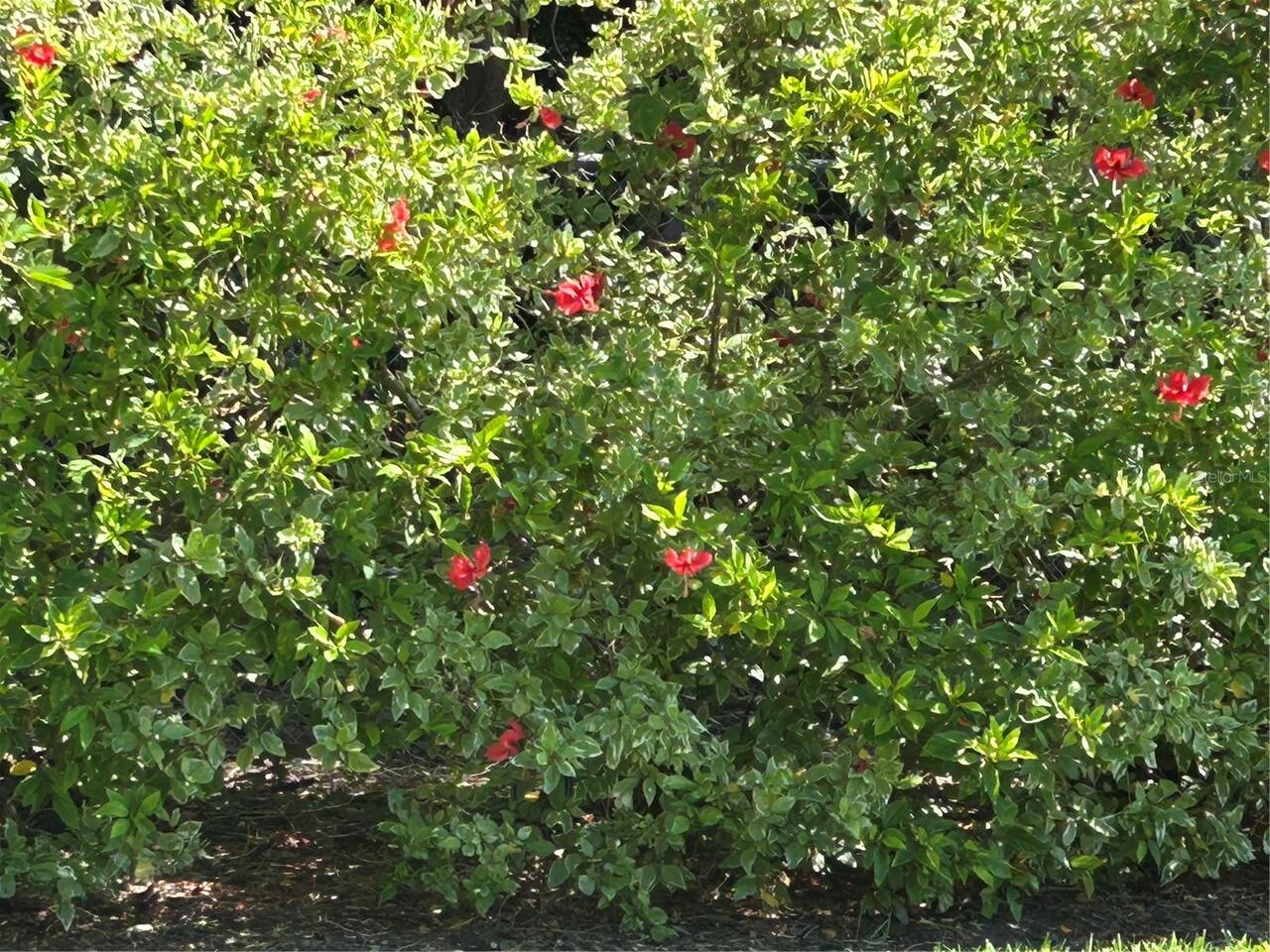 Listing Photo 19