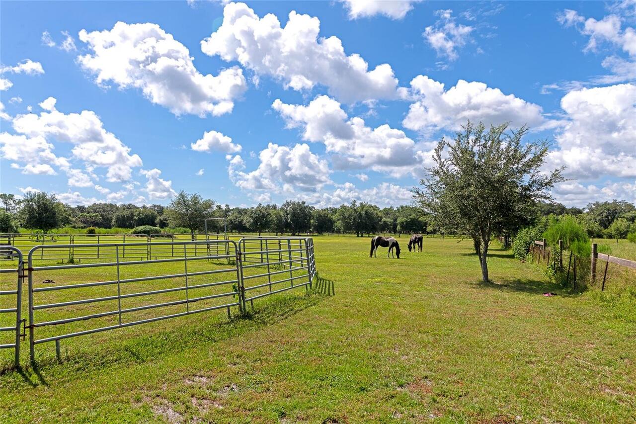 Listing Photo 86
