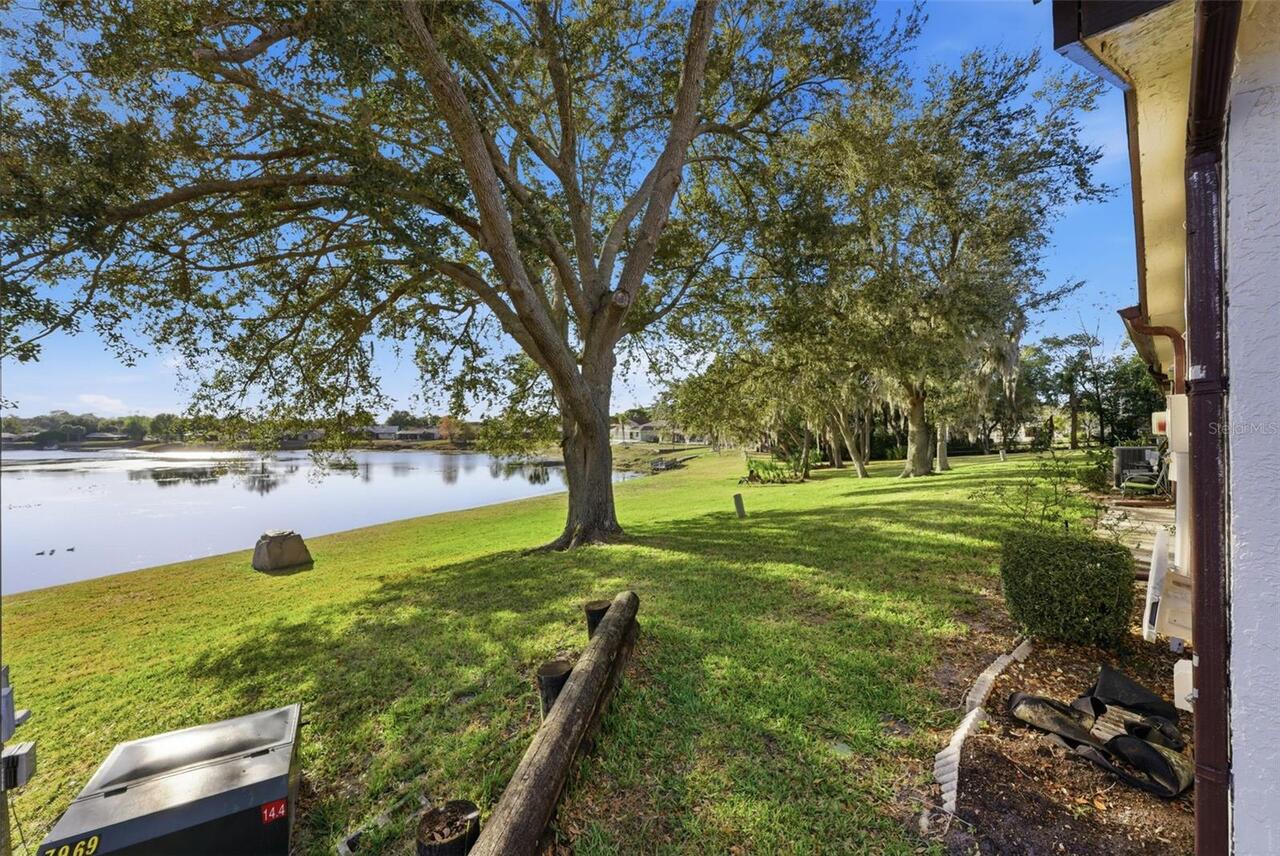 Listing Photo 6
